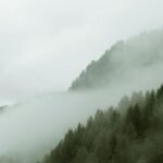 Eco Vacation - Mist above mountain slope covered with grass and dark green trees under grey sky