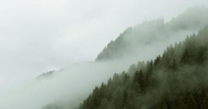 Eco Vacation - Mist above mountain slope covered with grass and dark green trees under grey sky
