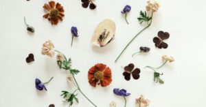 Eco Hobbies - Top view of small delicate dry flowers on long thin stems with dark green leaves arranged on white background