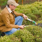 Seasonal Maintenance - Man with tool cutting bush