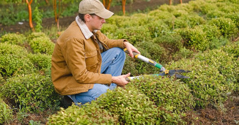 Seasonal Maintenance - Man with tool cutting bush