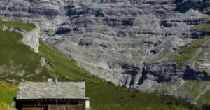 Travel Pets - Dog walking in mountains