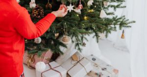 Pets Holidays - Woman in Red Long Sleeve Knitted Shirt Decorating a Christmas Tree