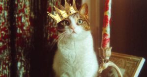 Pet Party - Funny Picture of a Cat in a Crown Sitting Next to a Candle